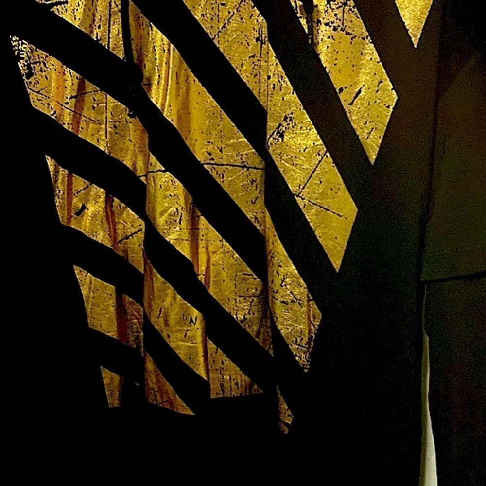 Long Sleeve/Short Sleeve Black & Gold Hoodie - Picture 4 of 4